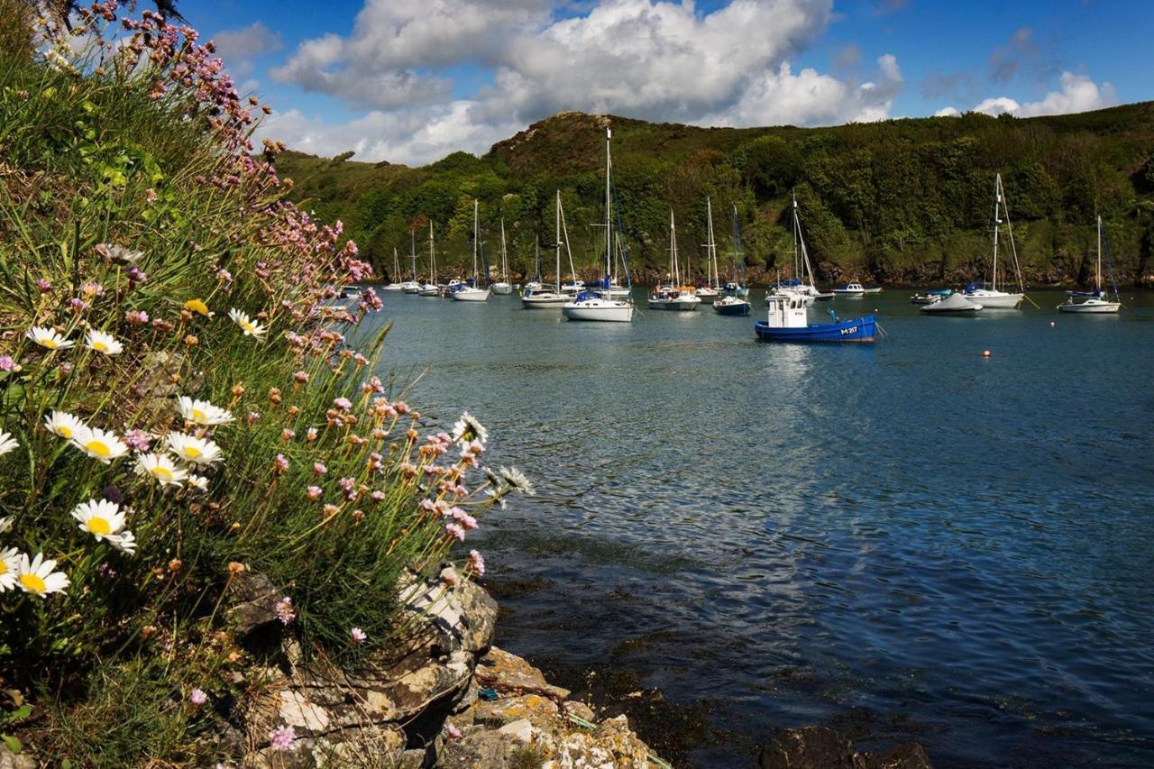 Caleb'S Cottage - 4 Bedroom Cottage - Solva Eksteriør bilde